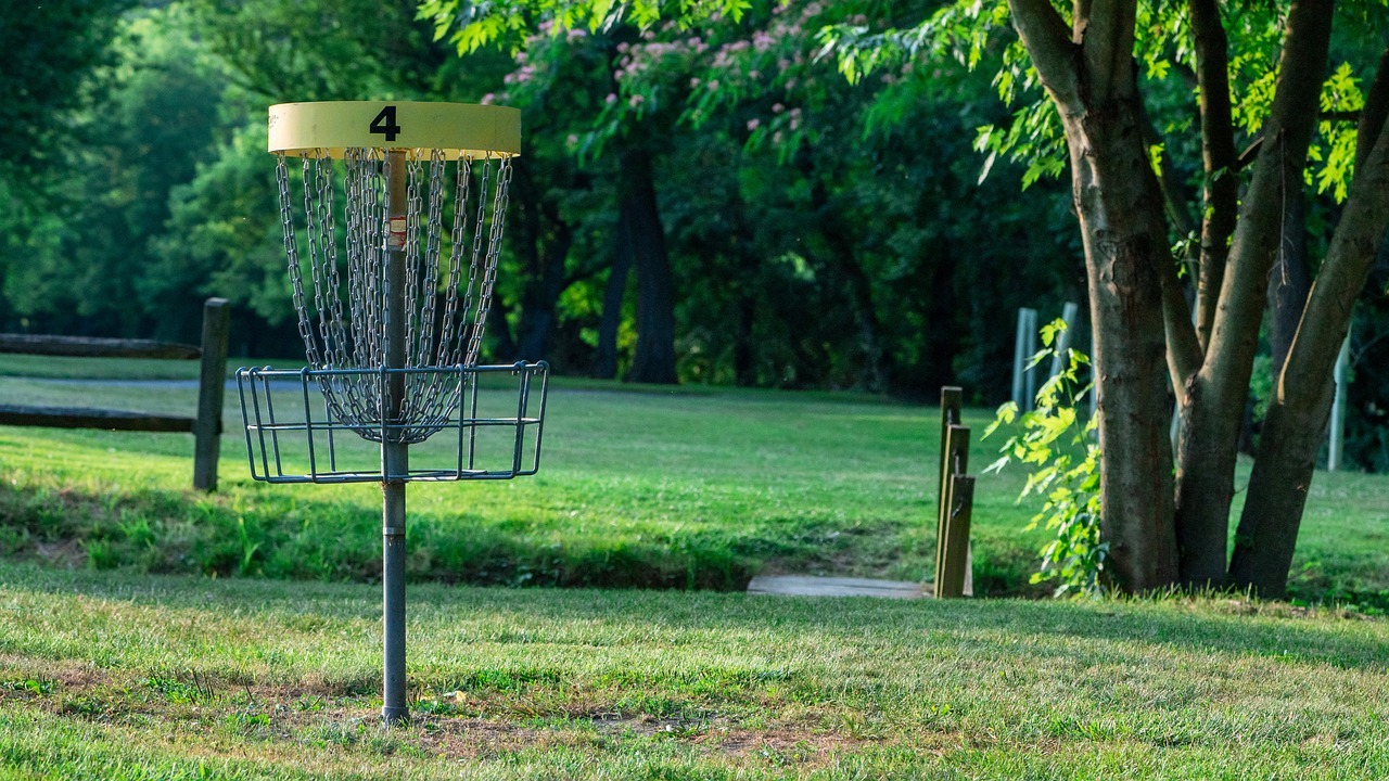 disc golf, frisbee golf, basket-5389182.jpg